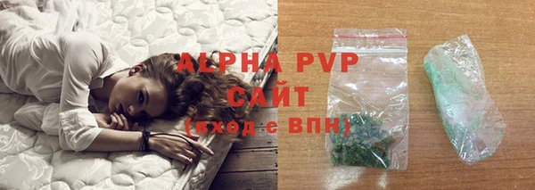 спайс Арсеньев